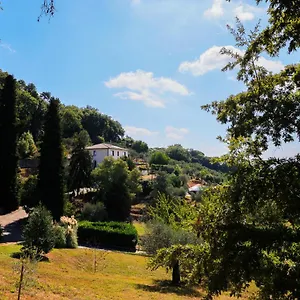 Terra Volonteri Montecatini-Terme